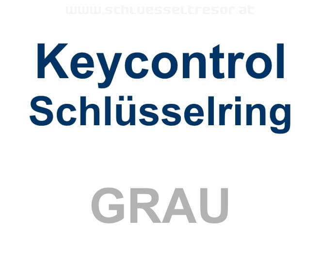 83b4eb065451cbdc0baba0830afd6f20 Keycontrol Schlüssel-Ring GRAU