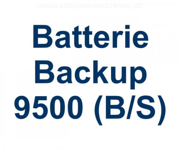 Batterie Backup 9500 (B/S)