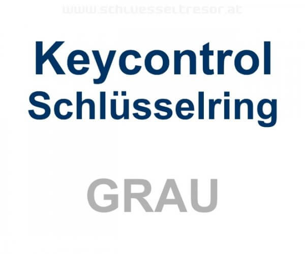 Keycontrol Schlüssel-Ring GRAU